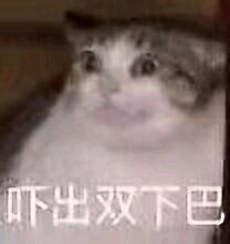 微信近期斗图恶搞表情包2019/6/7