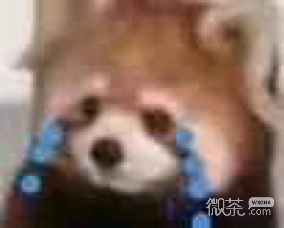 微信近期斗图恶搞表情包2019/6/7