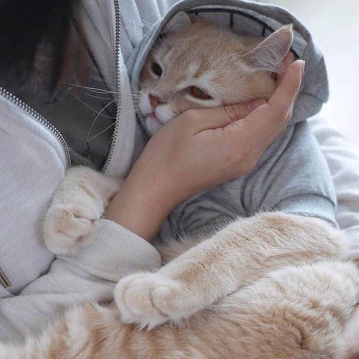 傲娇霸气微信女头