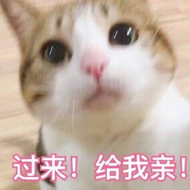 微信近期斗图恶搞表情包2019/6/9（二）