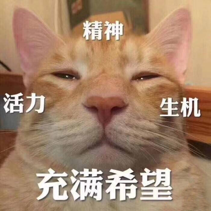 微信近期斗图恶搞表情包2019/6/9（二）