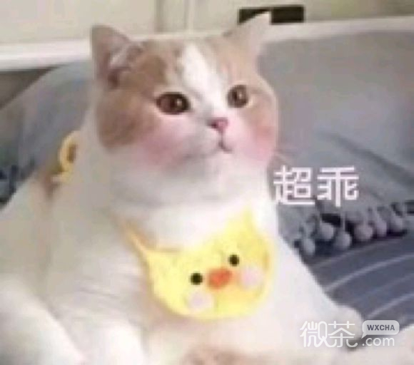 微信近期斗图恶搞表情包2019/6/7