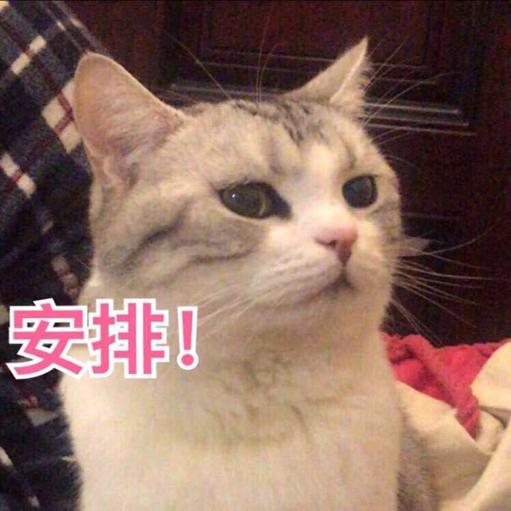 微信近期斗图恶搞表情包2019/6/9（二）