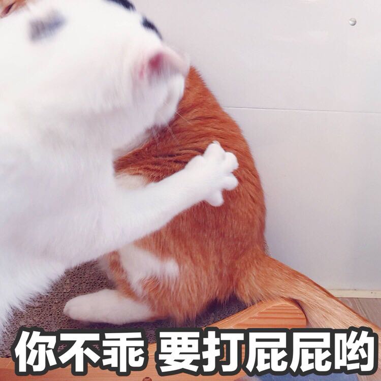 微信近期斗图恶搞表情包2019/6/9（二）
