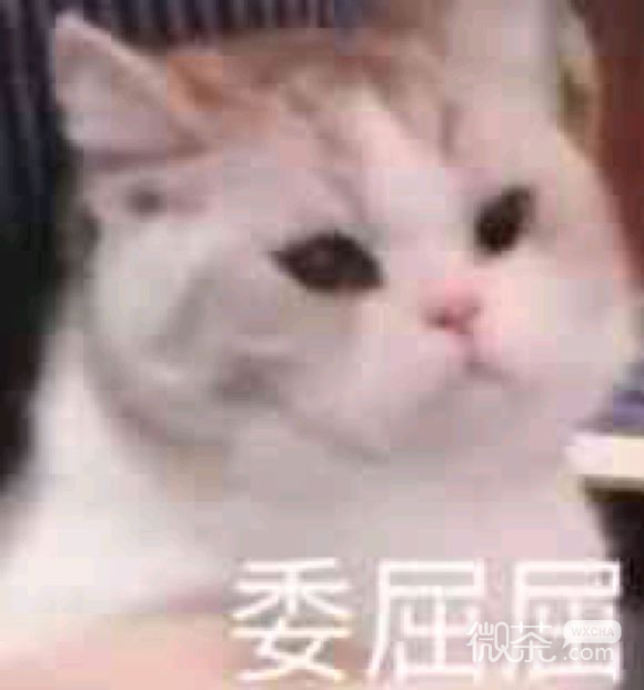 难受微信恶搞群聊杂图斗图表情包