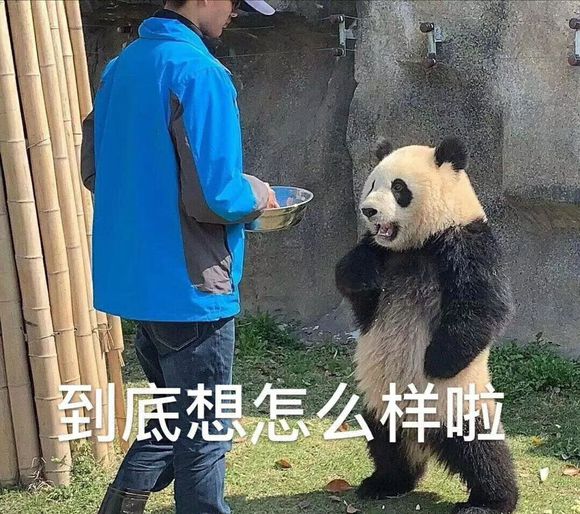 鼓掌微信恶搞群聊杂图表情包