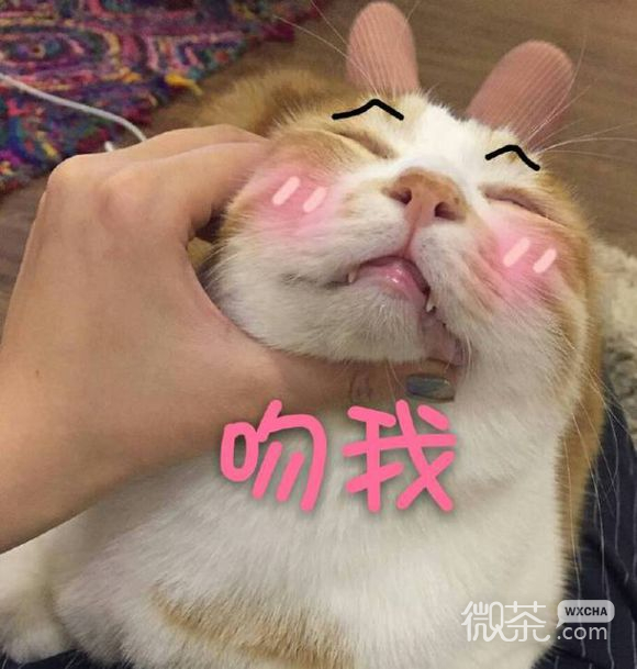 开始紧张微信恶搞群聊杂图表情包