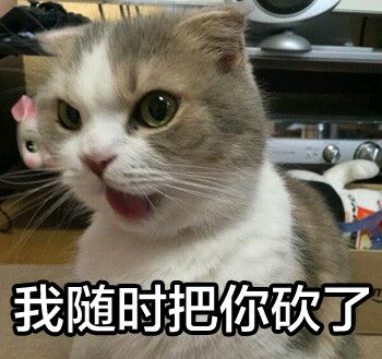 你在干嘛微信恶搞群聊杂图表情包