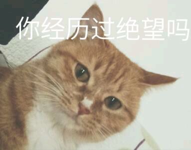 你在干嘛微信恶搞群聊杂图表情包