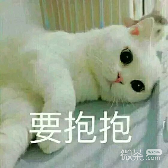 开始紧张微信恶搞群聊杂图表情包