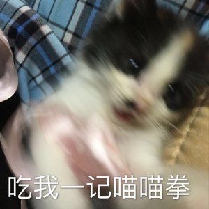 开始紧张微信恶搞群聊杂图表情包