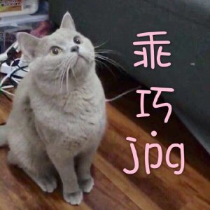 开始紧张微信恶搞群聊杂图表情包
