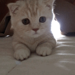 开始紧张微信恶搞群聊杂图表情包