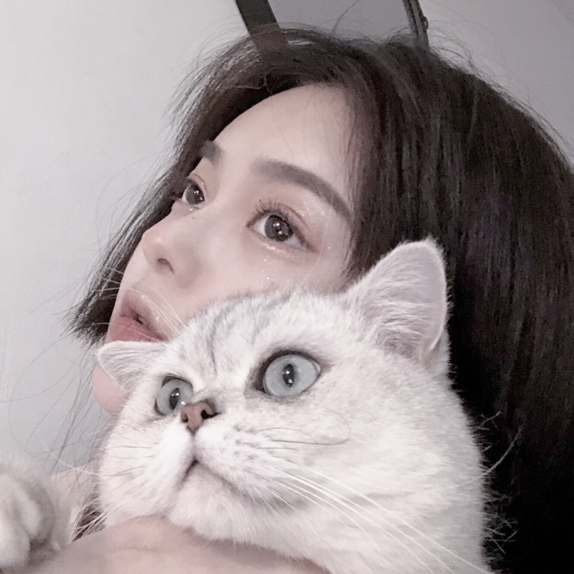 微信恶搞逗比搞怪女头