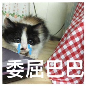 开始紧张微信恶搞群聊杂图表情包