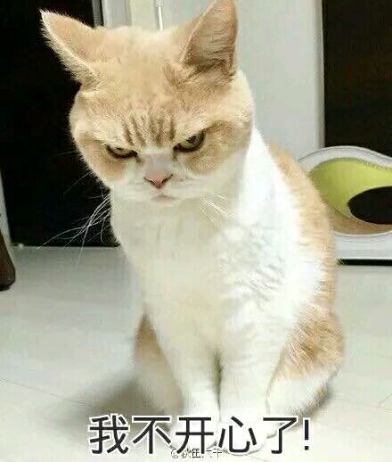 你在干嘛微信恶搞群聊杂图表情包