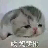 你在干嘛微信恶搞群聊杂图表情包