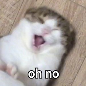 开始紧张微信恶搞群聊杂图表情包