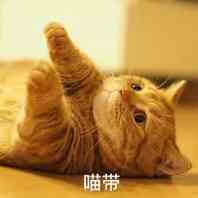 委屈巴微信恶搞群聊杂图表情包