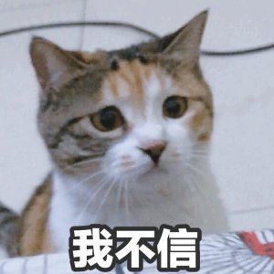 开始紧张微信恶搞群聊杂图表情包