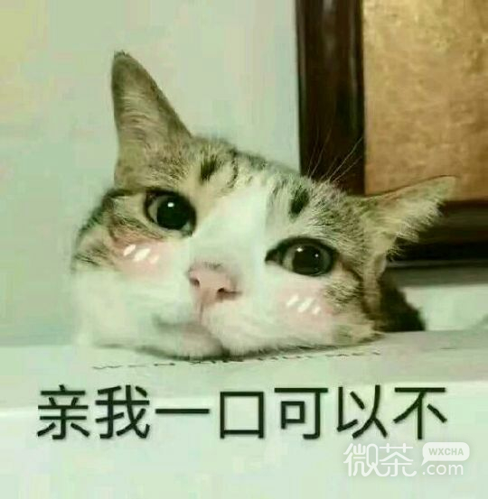 委屈巴微信恶搞群聊杂图表情包