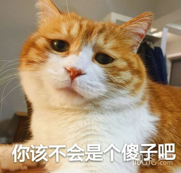 委屈巴微信恶搞群聊杂图表情包