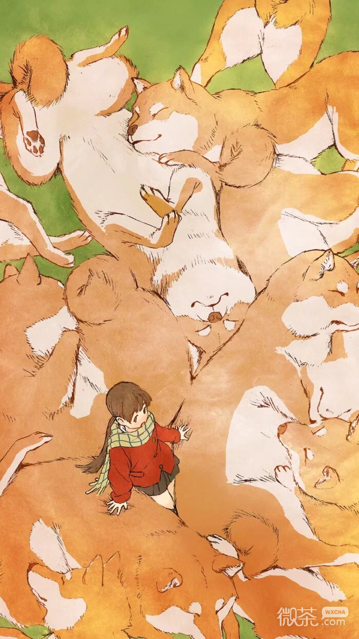 微信清新唯美动漫风景静物图片