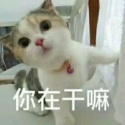 你在干嘛微信恶搞群聊杂图表情包