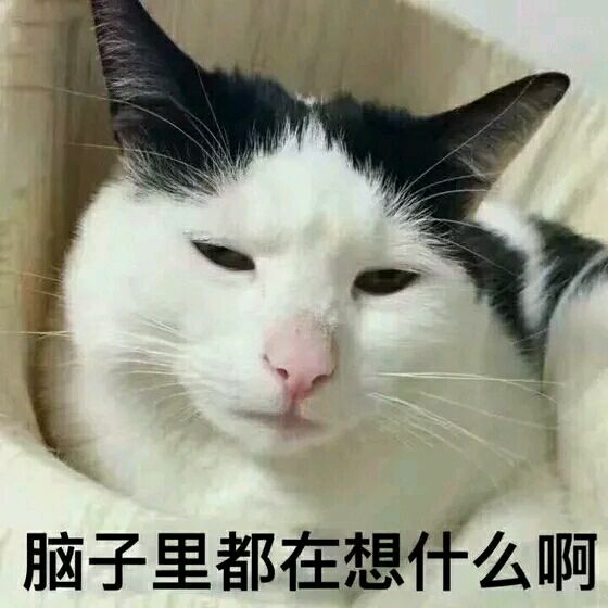 你在干嘛微信恶搞群聊杂图表情包