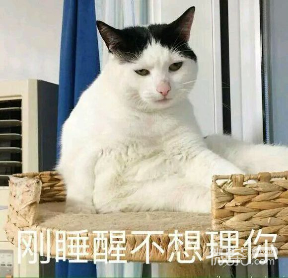走开微信恶搞群聊杂图表情包