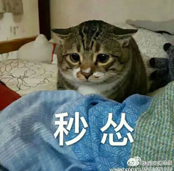 难受微信恶搞群聊杂图表情包