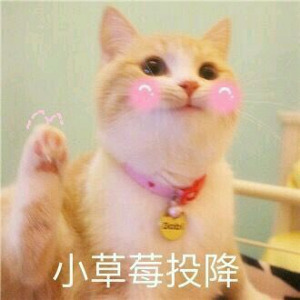 走开微信恶搞群聊杂图表情包