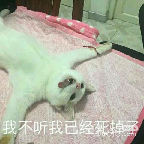 走开微信恶搞群聊杂图表情包