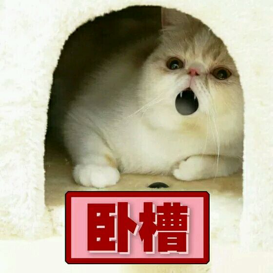 你在干嘛微信恶搞群聊杂图表情包