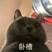 微信近期斗图恶搞表情包2019/6/10