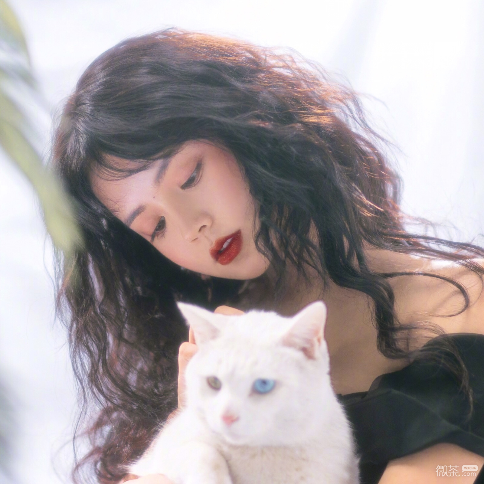 微信清新简洁可爱女头