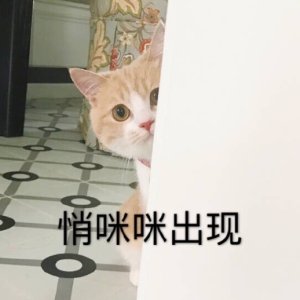 开始紧张微信恶搞群聊杂图表情包