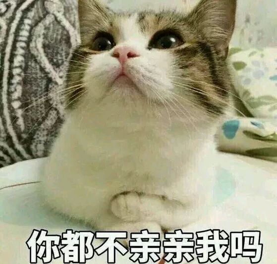 你在干嘛微信恶搞群聊杂图表情包