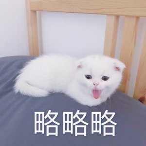 开始紧张微信恶搞群聊杂图表情包