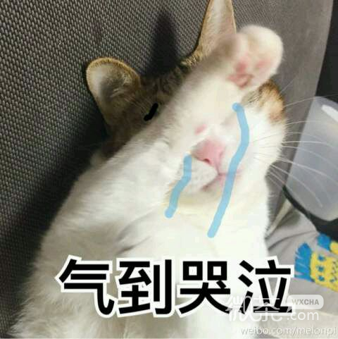 走开微信恶搞群聊杂图表情包