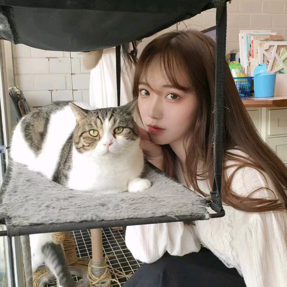 微信恶搞逗比搞怪女头