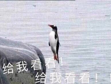 鼓掌微信恶搞群聊杂图表情包