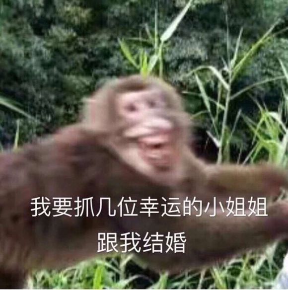 鼓掌微信恶搞群聊杂图表情包