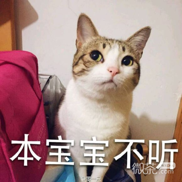 走开微信恶搞群聊杂图表情包