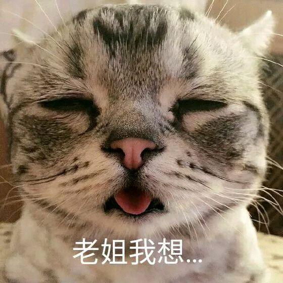 你在干嘛微信恶搞群聊杂图表情包