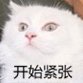 开始紧张微信恶搞群聊杂图表情包