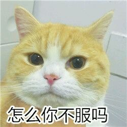 走开微信恶搞群聊杂图表情包