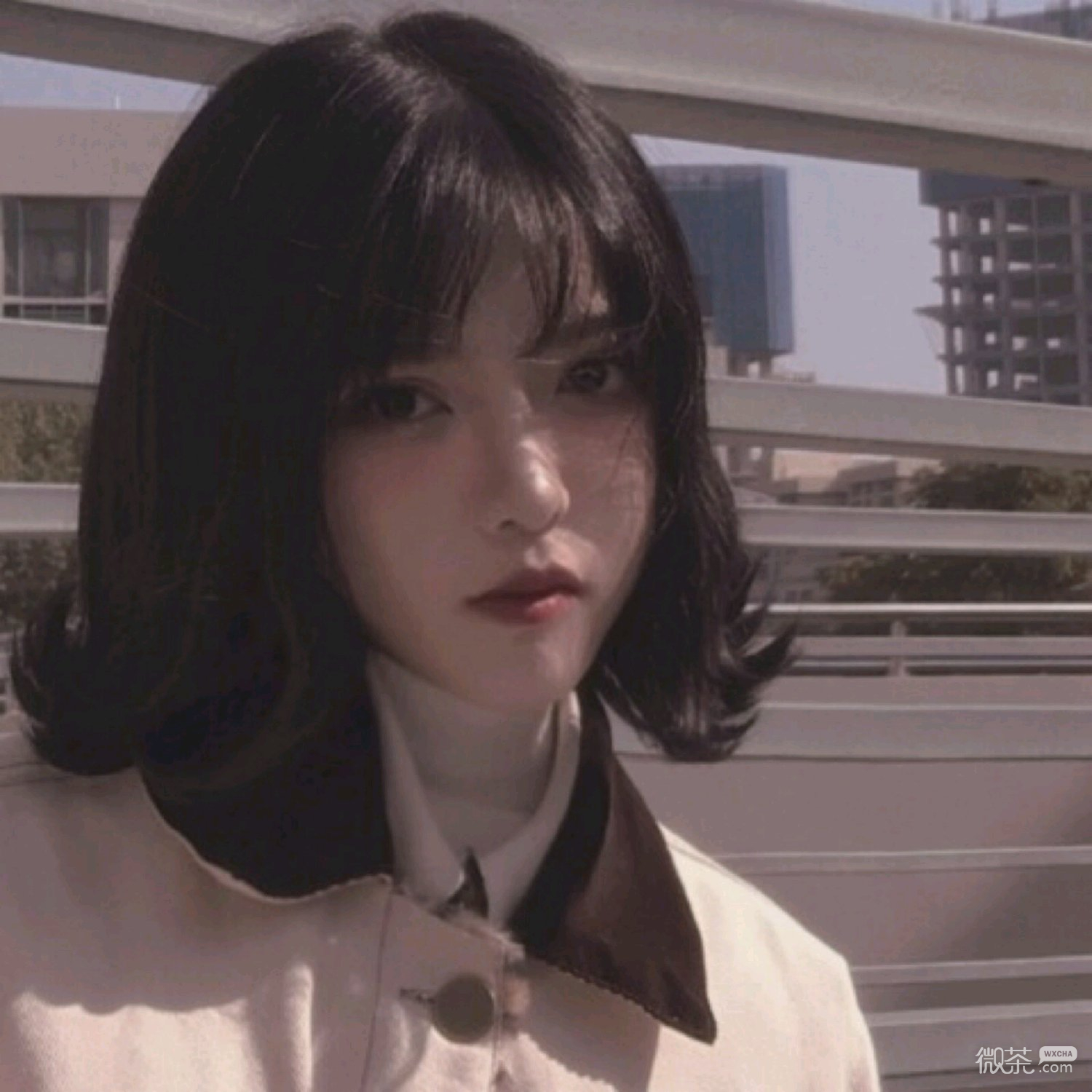 微信粉嫩简洁时尚女头