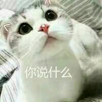 开始紧张微信恶搞群聊杂图表情包