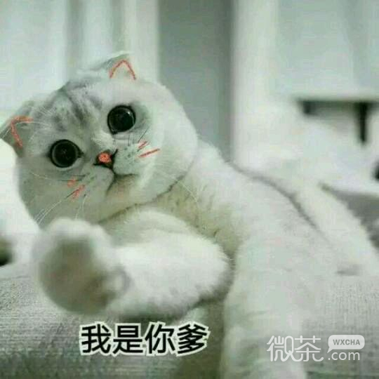 走开微信恶搞群聊杂图表情包